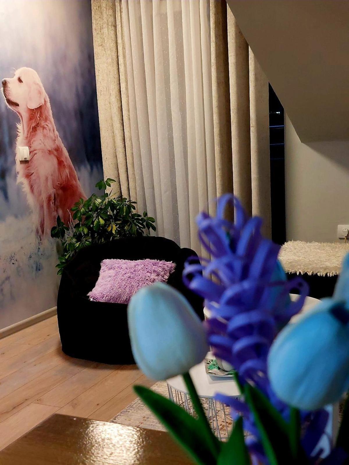 Apartman Marija Apartment Nova Varos Bagian luar foto