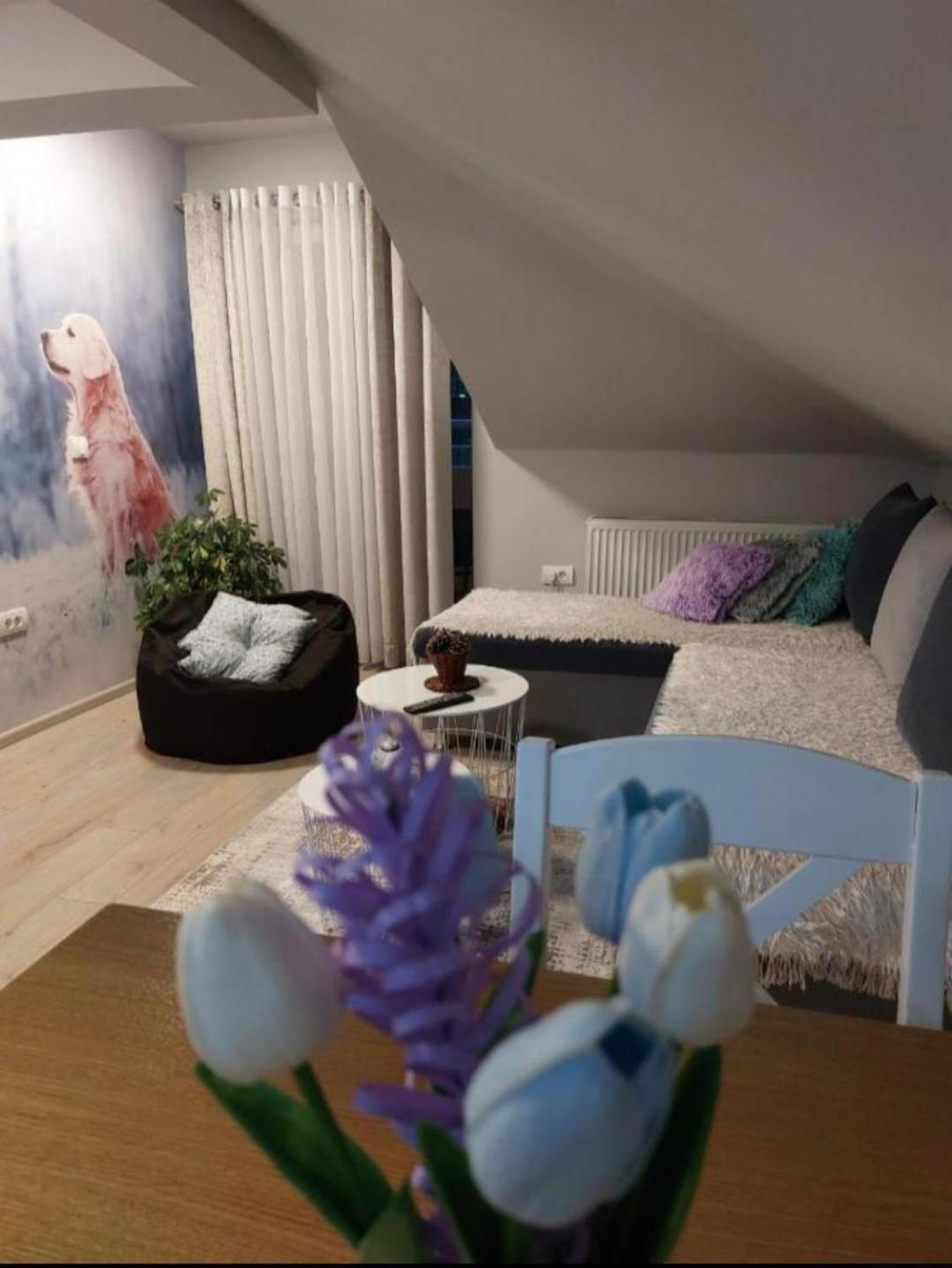 Apartman Marija Apartment Nova Varos Bagian luar foto